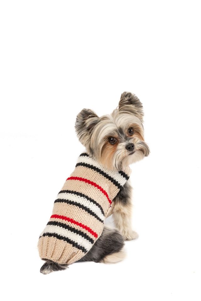 XXXL Chilly Dog Bentley Stripe Dog Sweater #2