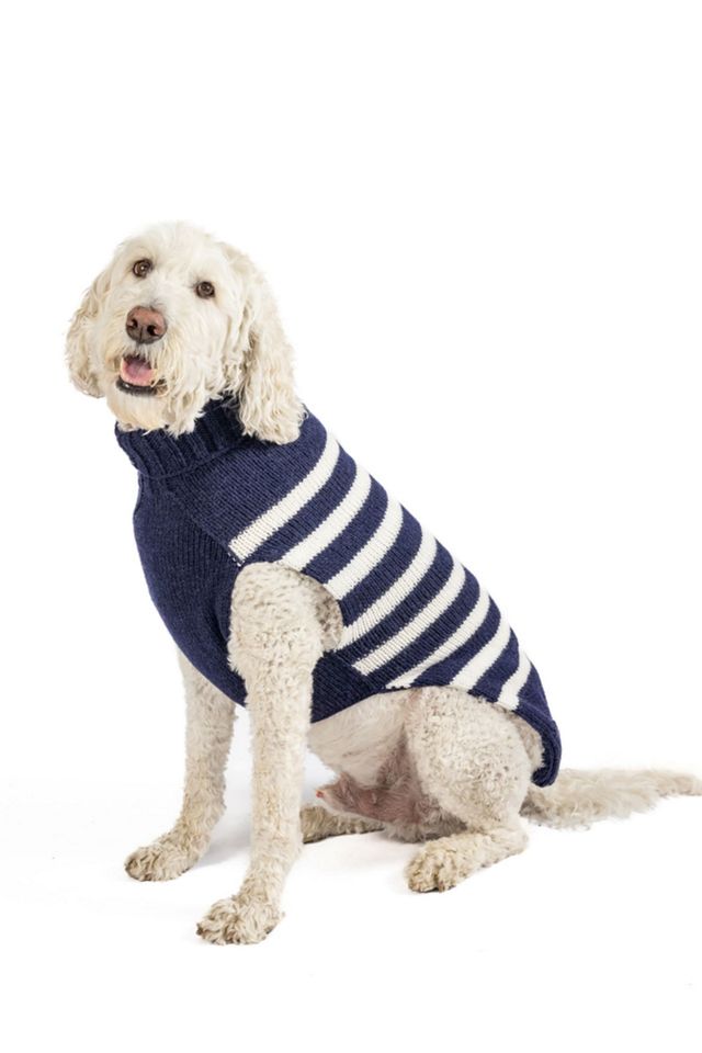 S Chilly Dog Flynn Stripe Dog Sweater #1