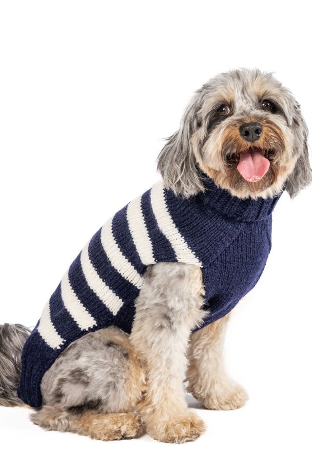 S Chilly Dog Flynn Stripe Dog Sweater #2