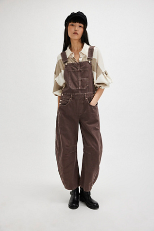 We The Free Good Luck Barrel Overalls Free People