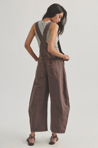 Женский комбинезон We The Free Good Luck Barrel Overalls, цвет: Шоколадный — фото 7