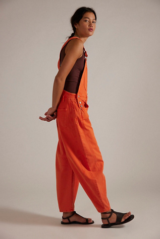 We The Free Good Luck Barrel Overalls - thumbnail 8
