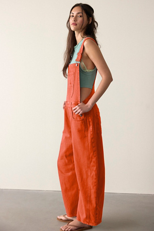 We The Free Good Luck Barrel Overalls