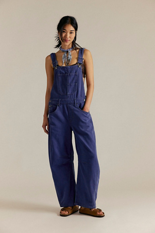 We The Free Good Luck Barrel Overalls product page