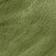 Light Viridian