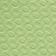 Green / Transparent Green