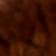 Cacao