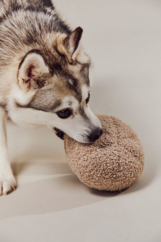 Lambwolf Guu Mushroom Dog Toy by Free People in Tan