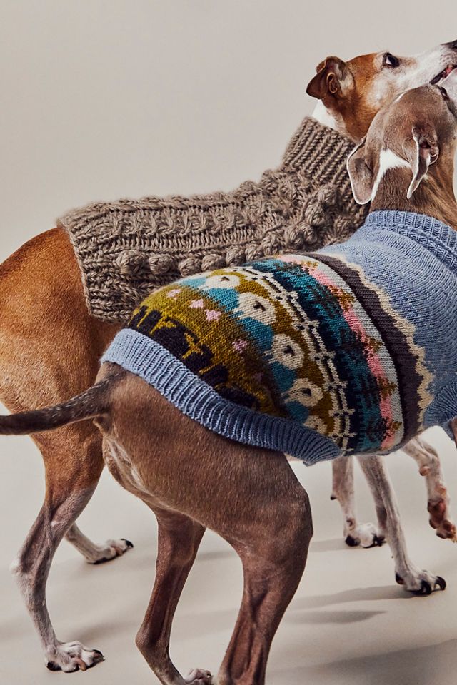 Wool dog hot sale sweater