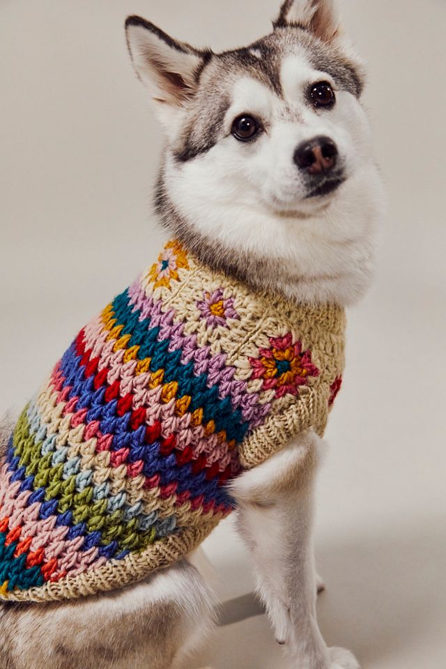 Husky dog shop sweater