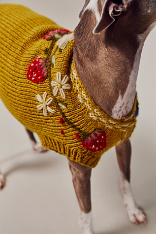 Oh So Sweet Fruit Sweater by French Knot at Free People in Yellow, Size: Medium