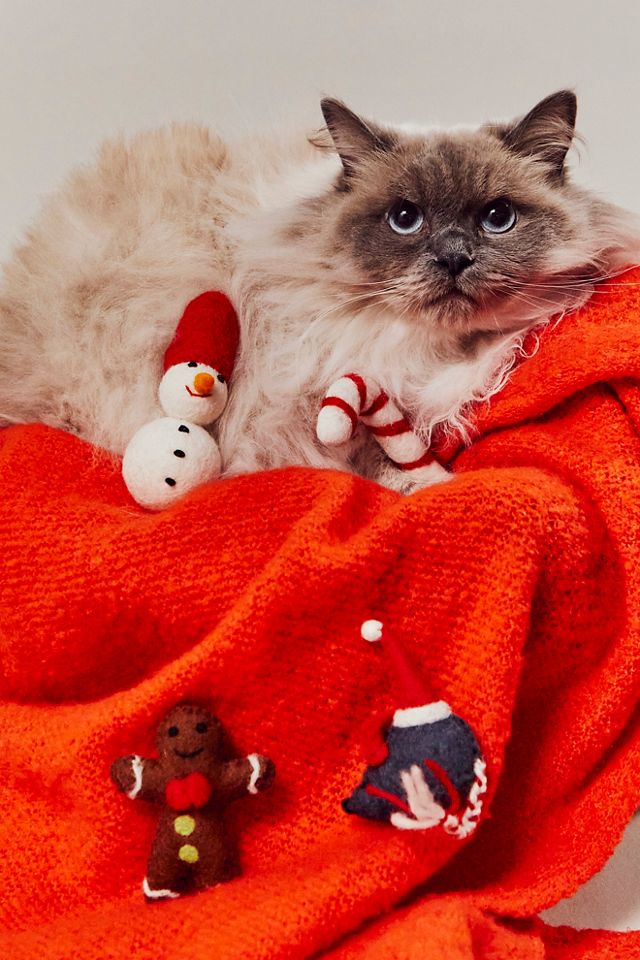 Ware of The Dog Holiday Cat Toy Bundle #1