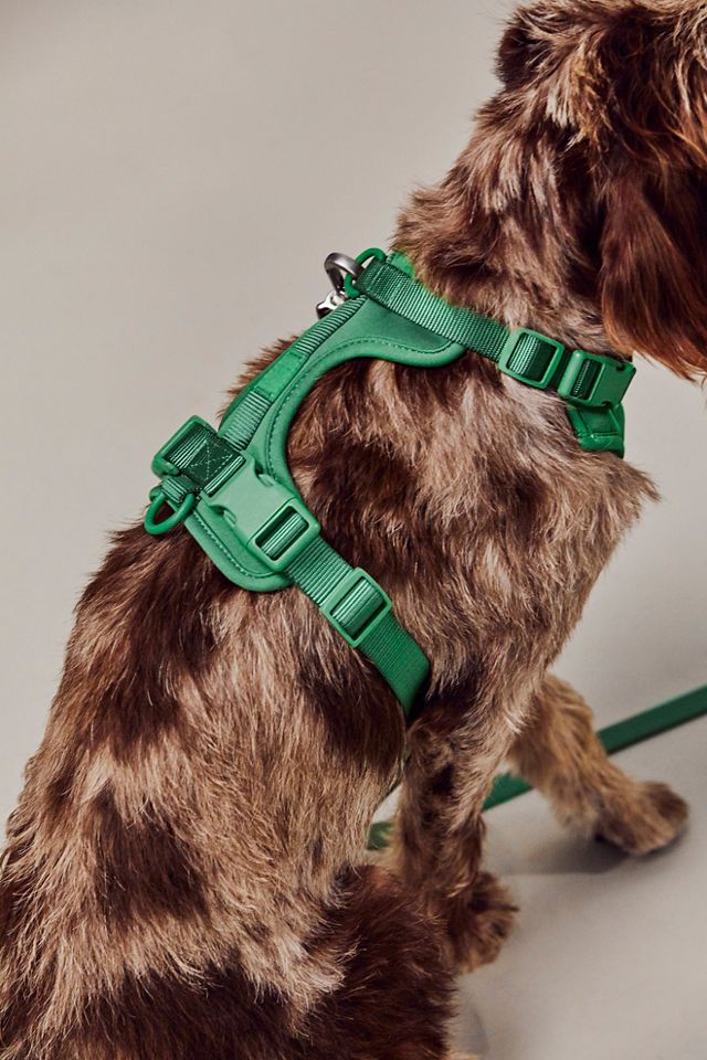 Harnais pour animal de compagnie Wild One #1