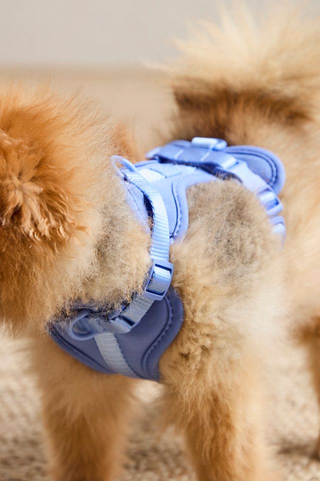 Harnais pour animal de compagnie Wild One #3