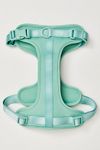 Wild One Pet Harness