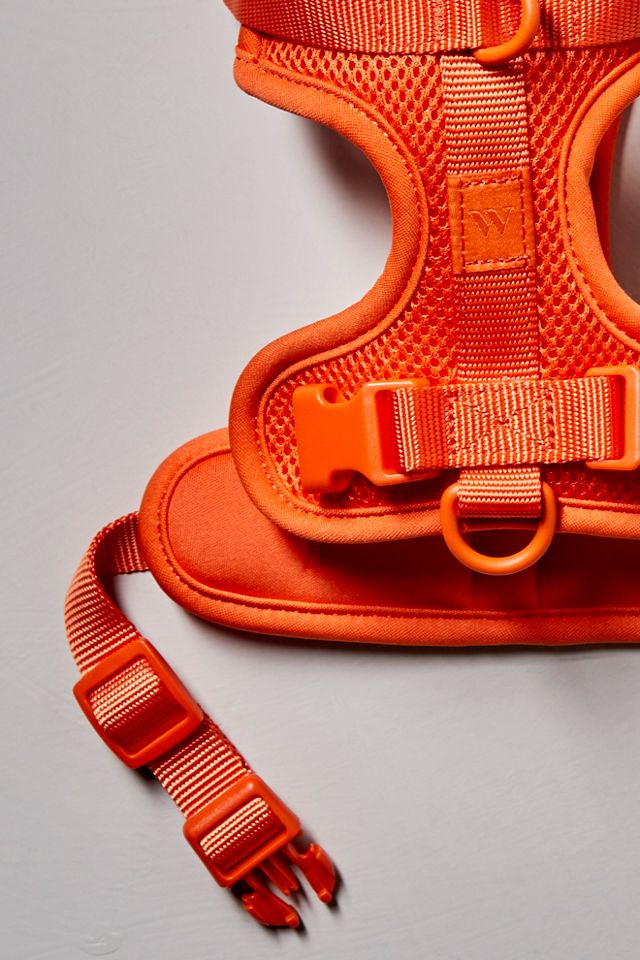 Wild One Pet Harness #1