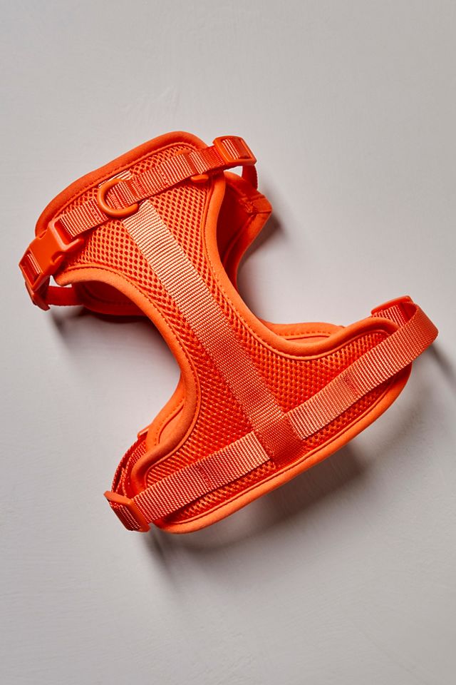 Wild One Pet Harness #2
