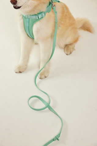 Wild One Standard Pet Leash At Free People In Seafoam