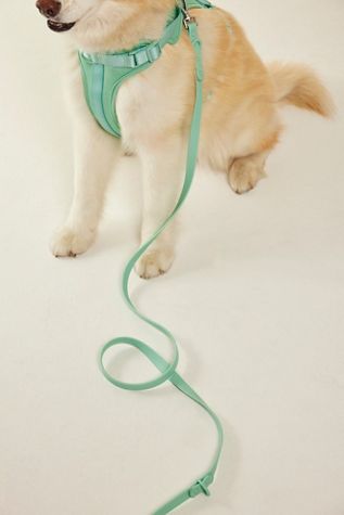 Wild One Standard Pet Leash