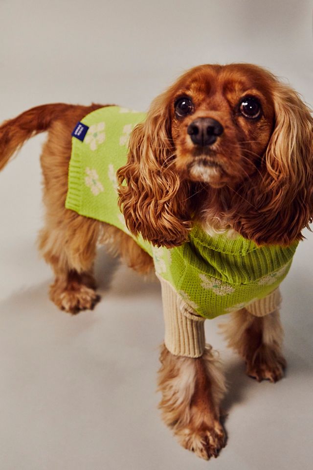 Pull Flower Power Little Beast #1