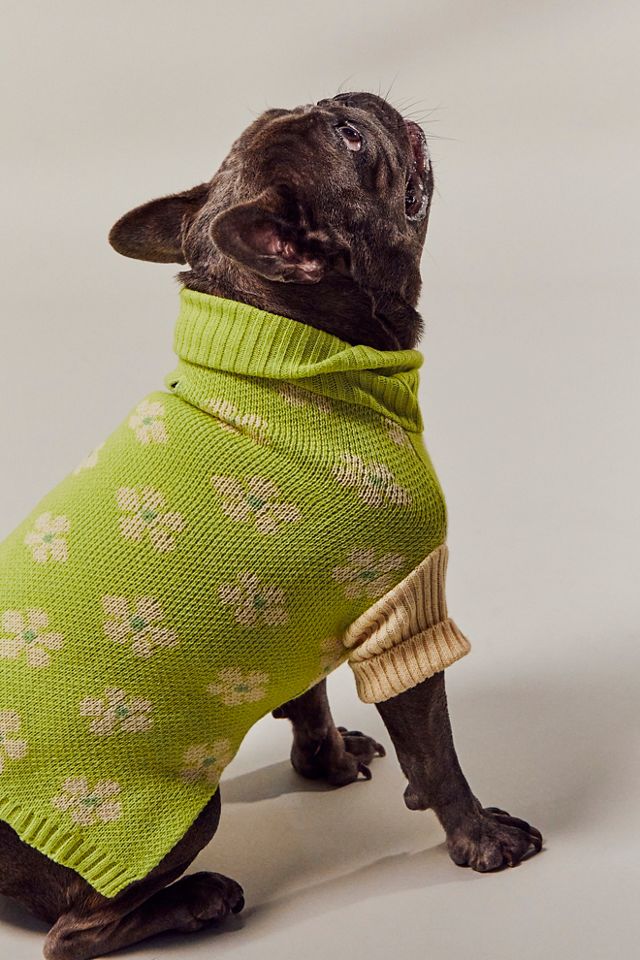 Pull Flower Power Little Beast #2