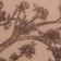 Toile
