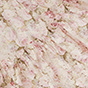 Washed Out Floral