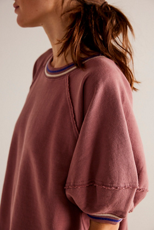 We The Free It's Official Pullover At Free People In Withered Rose Combo, Size: XS