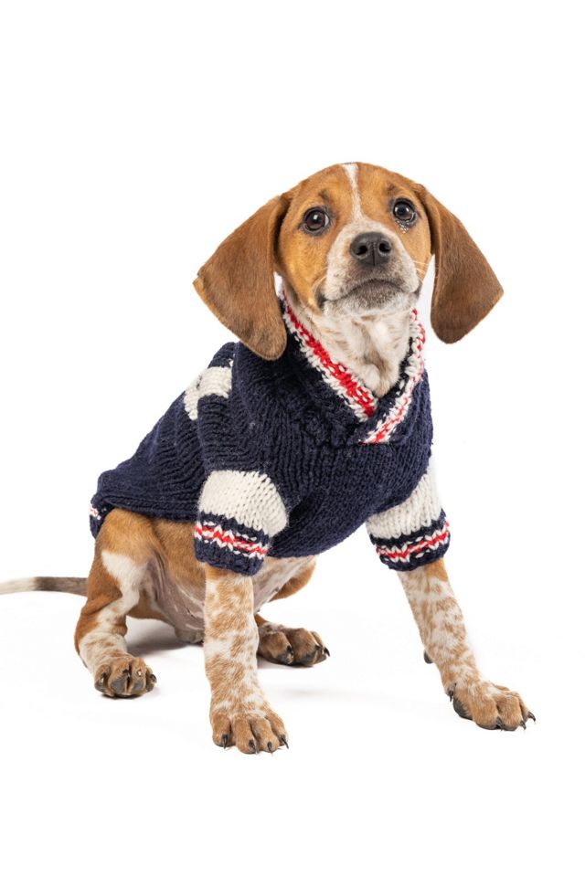XSChilly Dog Varsity  Dog Sweater #1