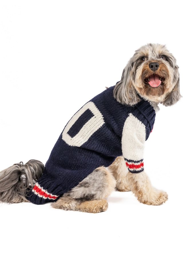 XSChilly Dog Varsity  Dog Sweater #2