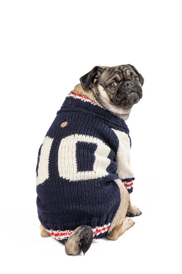 XSChilly Dog Varsity  Dog Sweater #3