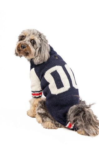 Chilly Dog Varsity  Dog Sweater