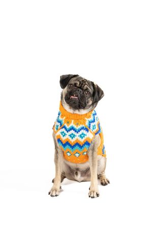 Chilly Dog Artic Amber Fair Isle Dog Sweater