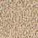 Elevated Beige / White