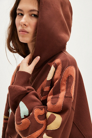 We The Free It's A Vibe Swirl Hoodie At Free People In Pinecone Combo, Size: XS