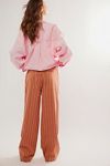 Hudson Canyon Stripe Pants