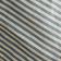 Green Stripe