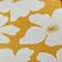 California Poppy