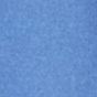 Riviera Blue
