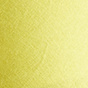 Golden Kiwi