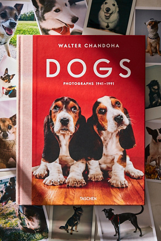 TASCHEN Dogs at Free People