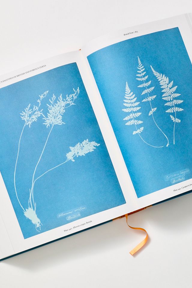 TASCHEN Botanical Beauty #3