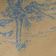 Toile