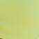 Highlighter Yellow