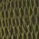 Sea Kelp