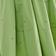 Herbe de Verre