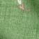 English Ivy
