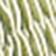 Lemon Grass