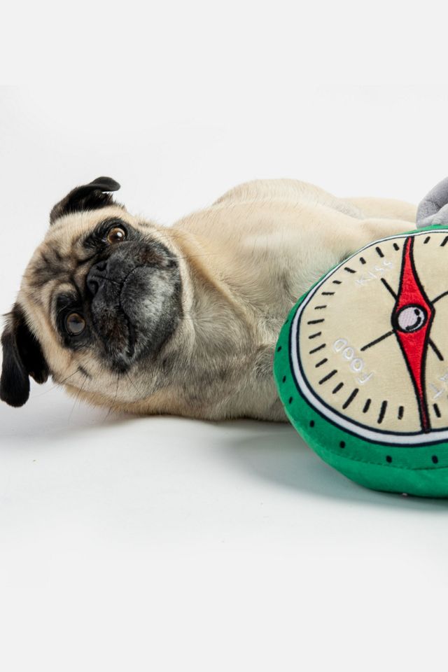 Silver Paw Compass Dog Toy #1