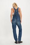 Lee Slim Straight Overalls